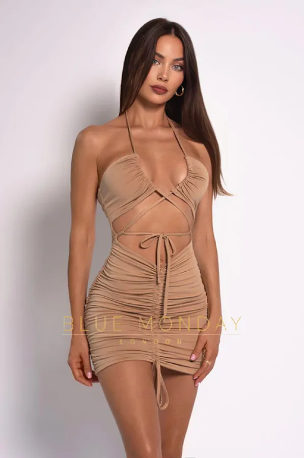 Profile image for Eva